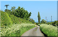 2012 : Looking east along Hedge Lane