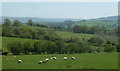 Fields near Cilmeri