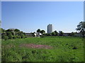 Looking towards Orchard Park Estate