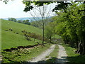 Track towards Pen-hyle-mawr