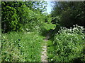 Path towards Scraptoft Golf Club