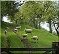 Gate to path up a rising wooded ridge