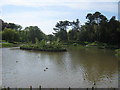 SD3418 : Island at the eastern end of Hesketh Park Lake, Southport by peter robinson