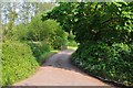 Mid Devon : Country Road