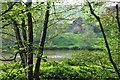 Mid Devon : Pond & Shrubs