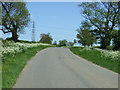 Road towards Great Dalby