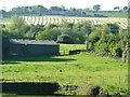 Agricultural building west of Foxt