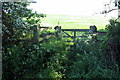 Gate on the path to Queens Oak