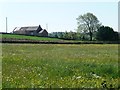 Wild flower meadow, Little Blakelow