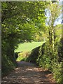 Lane near Trevis House