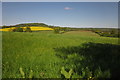 Grass field near Lower Cheriton