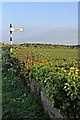 Sign, Landican Lane, Storeton