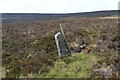 SK2093 : Estate boundary stone east of Cartledge Brook by Neil Theasby