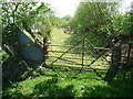 Old farm droveway near Prysg