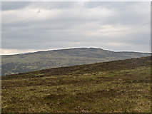 NN5568 : Stob Loch Monaidh by William Starkey