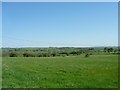 Farmland north of the Ellastone Road crossroads