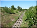 The Cauldon Lowe branch in a cutting