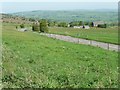 Staffordshire Moorland meadow