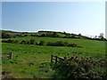 Farmland at Lintmill Bridge