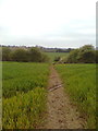 Looking back down the path to Council Hill