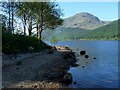 The shore of Loch Eck opposite Rubha Ban Frionais