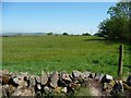 Farmland at Ipstones Edge