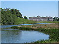 SU9622 : Petworth Park: Upper Pond by Stephen Craven