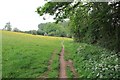 Footpath near Ham