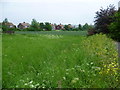 View from roundabout on Coldharbour Road