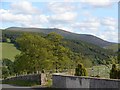 View over Culter Fell