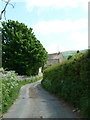 SD5580 : Jubilee Lane north of Tarnside by Alexander P Kapp