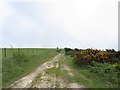 TQ5701 : South Downs Way on Bourne Hill by Chris Heaton