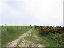TQ5701 : South Downs Way on Bourne Hill by Chris Heaton