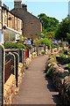 Backs of Cottages