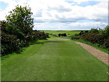 TV5899 : Eastbourne Downs Golf Course - 5th Tee by Chris Heaton