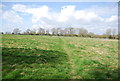 Footpath across a field, Lower Toat Farm