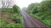NT3094 : Railway leaving Kirkcaldy by Richard Webb