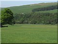 View to the Mill Pool from Crag House Farm