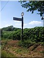 "Bucks County" Signpost Near Ascott