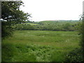 Small field in the valley bottom near Ventongimps