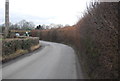 Hedge trimming, Cottenden Rd