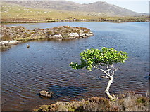 NF7929 : Loch na Breac Peatair by Rupert Fleetingly