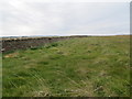 ND0370 : Boundary wall Mains of Brims Farm by John Ferguson