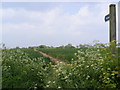 Footpath to Bloodmoor Lane