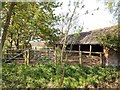 Pens and shelter