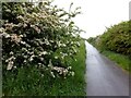 The Trans Pennine Trail