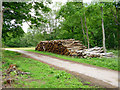 Wood stack, Royal Common