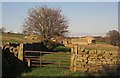 Approaching Westfield Farm