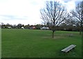 The village green at Leigh