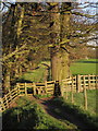 Nidderdale Way to Birstwith